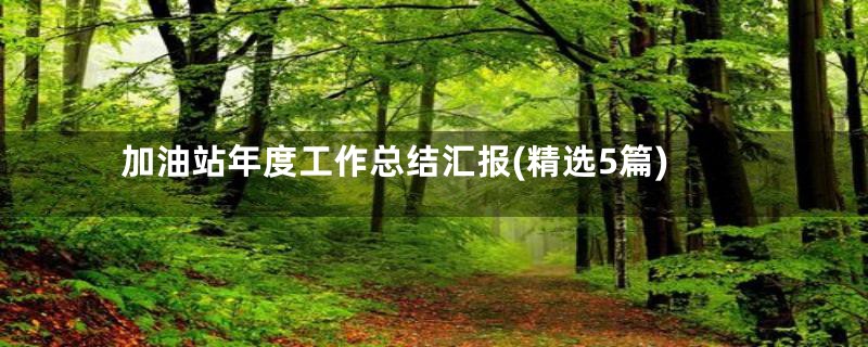 加油站年度工作总结汇报(精选5篇)