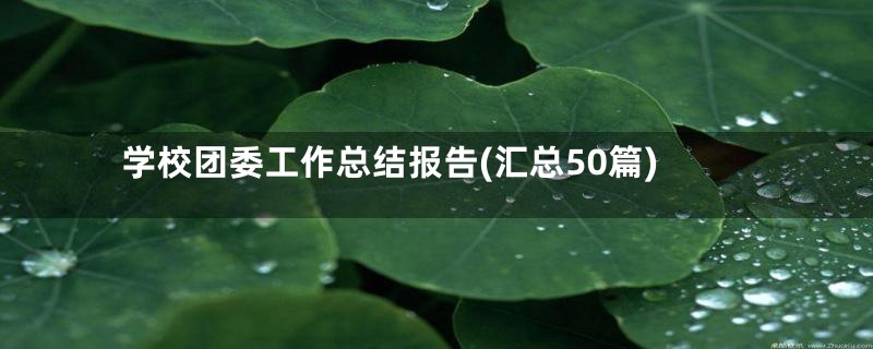 学校团委工作总结报告(汇总50篇)