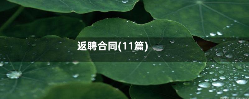 返聘合同(11篇)