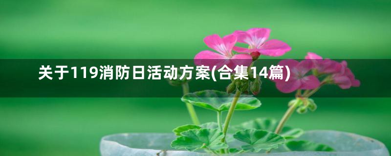 关于119消防日活动方案(合集14篇)