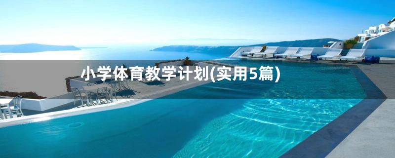 小学体育教学计划(实用5篇)