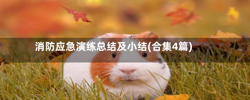 消防应急演练总结及小结(合集4篇)