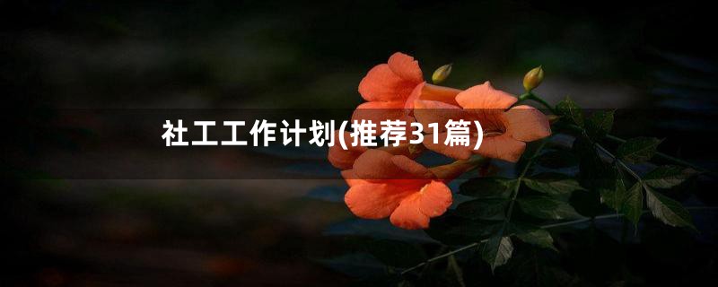 社工工作计划(推荐31篇)