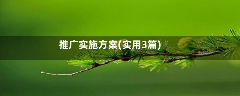 推广实施方案(实用3篇)