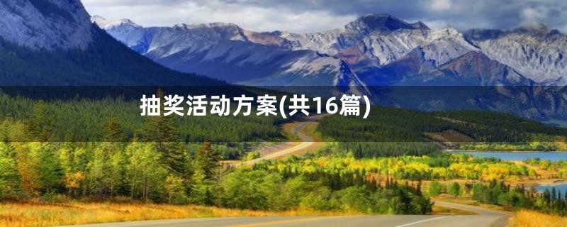 抽奖活动方案(共16篇)