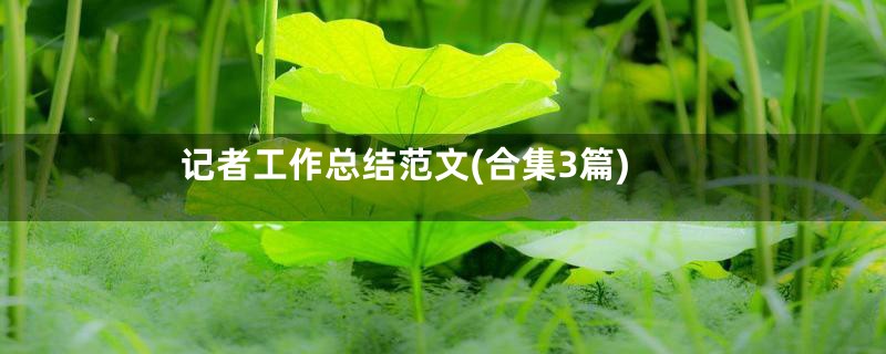 记者工作总结范文(合集3篇)