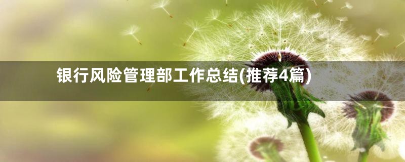银行风险管理部工作总结(推荐4篇)