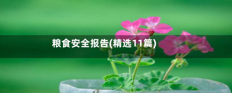 粮食安全报告(精选11篇)