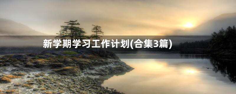 新学期学习工作计划(合集3篇)