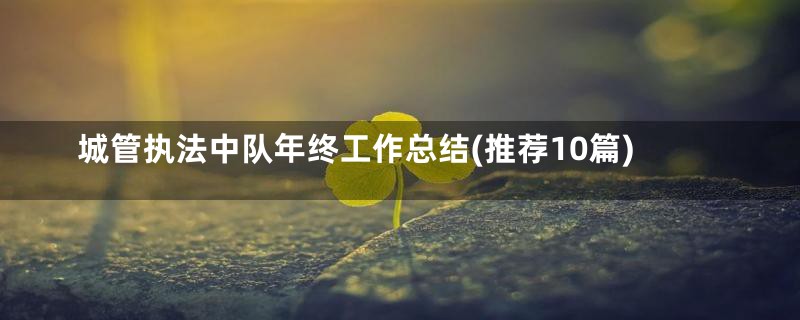 城管执法中队年终工作总结(推荐10篇)