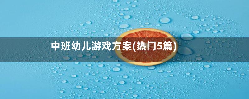 中班幼儿游戏方案(热门5篇)