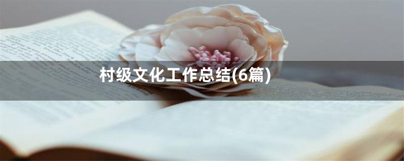 村级文化工作总结(6篇)