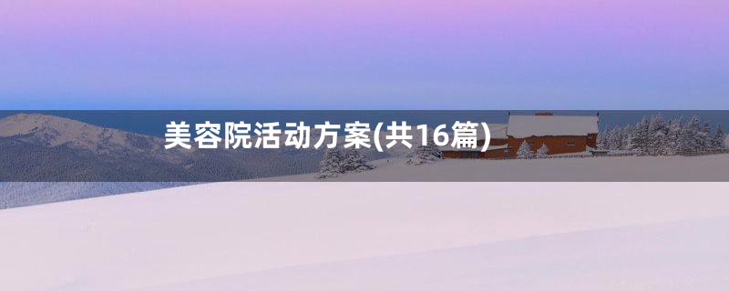 美容院活动方案(共16篇)