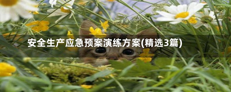 安全生产应急预案演练方案(精选3篇)