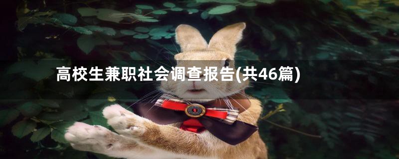 高校生兼职社会调查报告(共46篇)