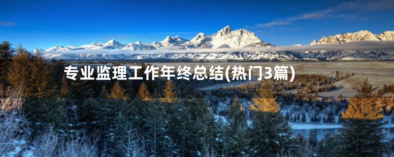 专业监理工作年终总结(热门3篇)