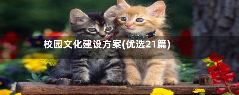 校园文化建设方案(优选21篇)
