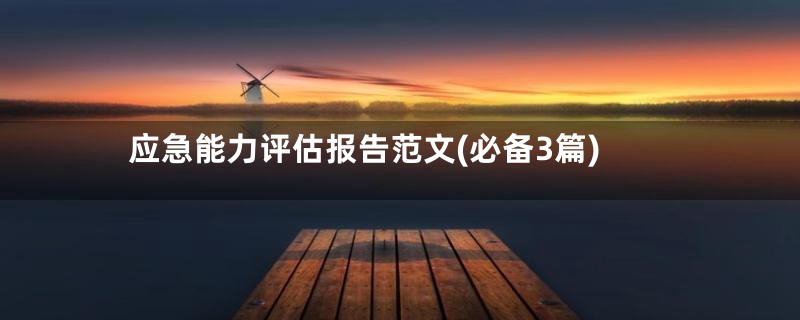 应急能力评估报告范文(必备3篇)