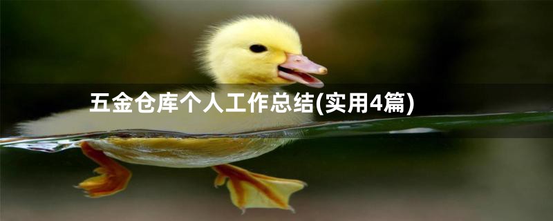 五金仓库个人工作总结(实用4篇)