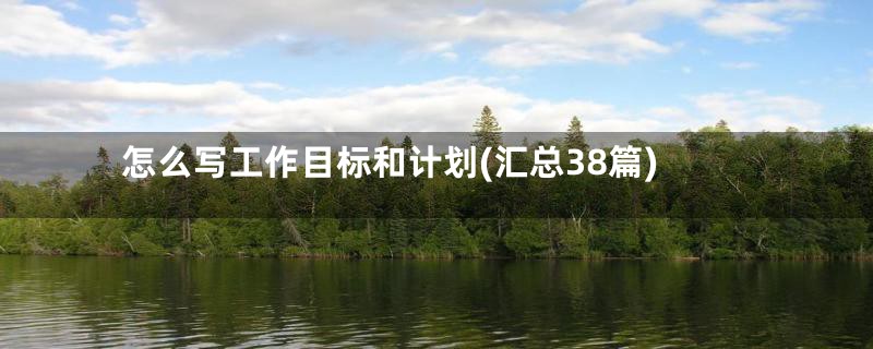 怎么写工作目标和计划(汇总38篇)