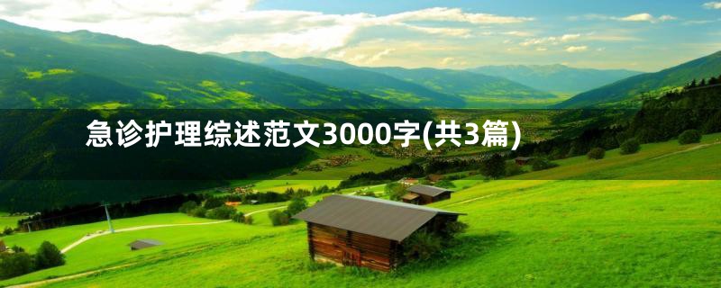 急诊护理综述范文3000字(共3篇)