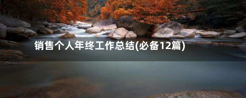 销售个人年终工作总结(必备12篇)