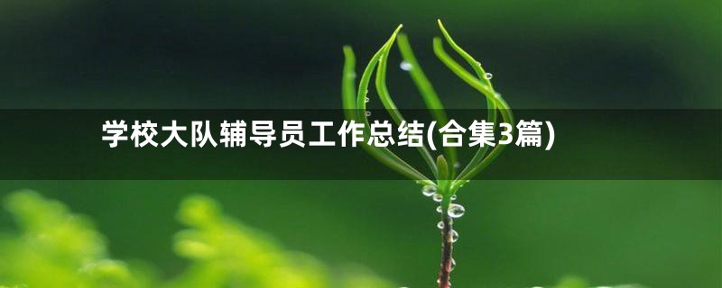 学校大队辅导员工作总结(合集3篇)