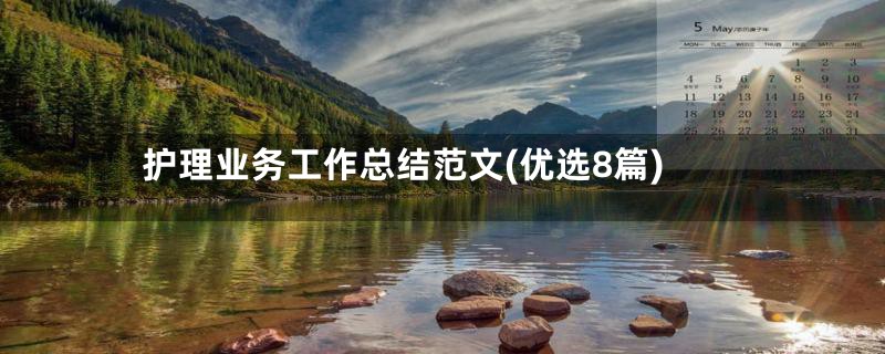 护理业务工作总结范文(优选8篇)