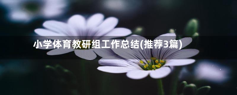 小学体育教研组工作总结(推荐3篇)