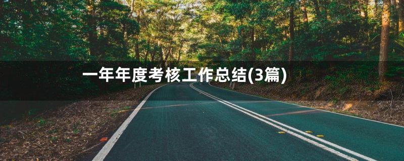 一年年度考核工作总结(3篇)