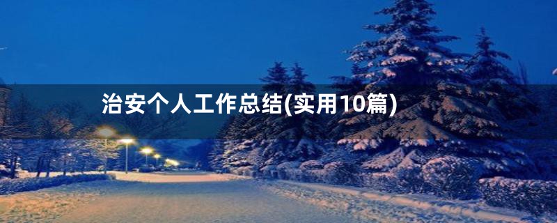 治安个人工作总结(实用10篇)