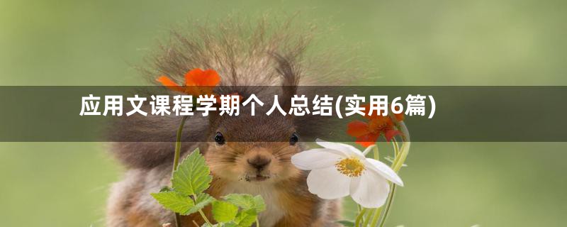 应用文课程学期个人总结(实用6篇)