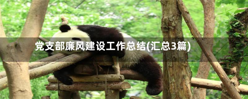 党支部廉风建设工作总结(汇总3篇)