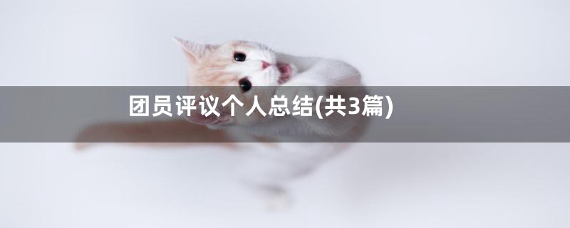 团员评议个人总结(共3篇)