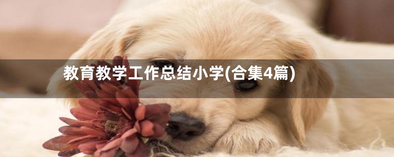 教育教学工作总结小学(合集4篇)