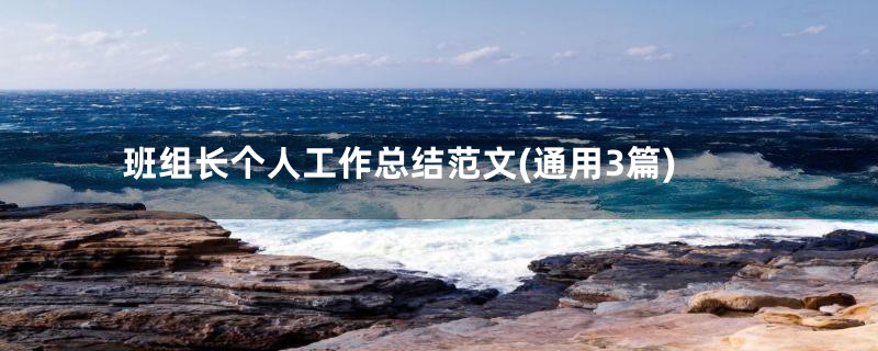 班组长个人工作总结范文(通用3篇)