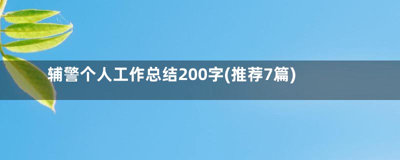 辅警个人工作总结200字(推荐7篇)