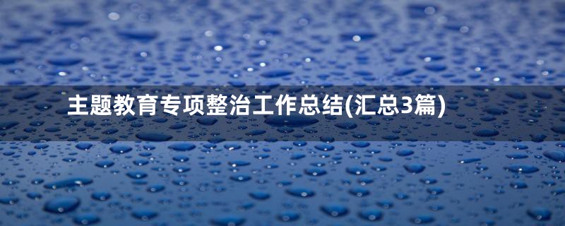 主题教育专项整治工作总结(汇总3篇)