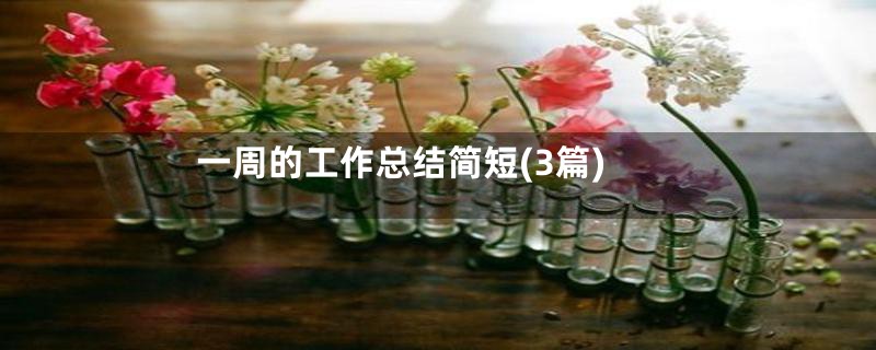 一周的工作总结简短(3篇)