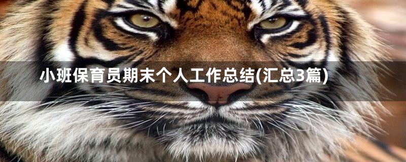 小班保育员期末个人工作总结(汇总3篇)