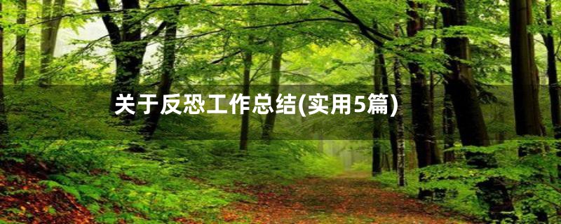 关于反恐工作总结(实用5篇)