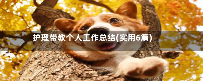护理带教个人工作总结(实用6篇)
