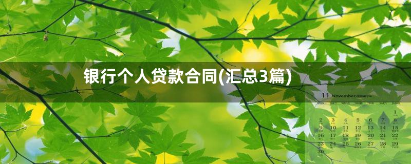 银行个人贷款合同(汇总3篇)