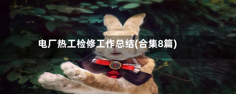 电厂热工检修工作总结(合集8篇)