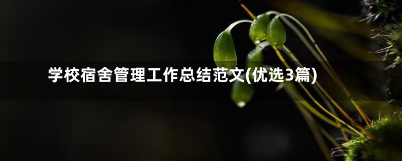 学校宿舍管理工作总结范文(优选3篇)