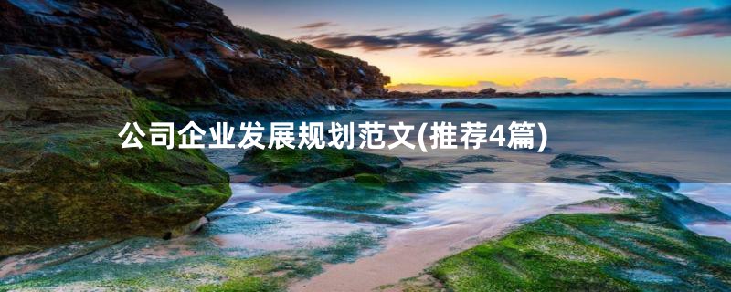 公司企业发展规划范文(推荐4篇)