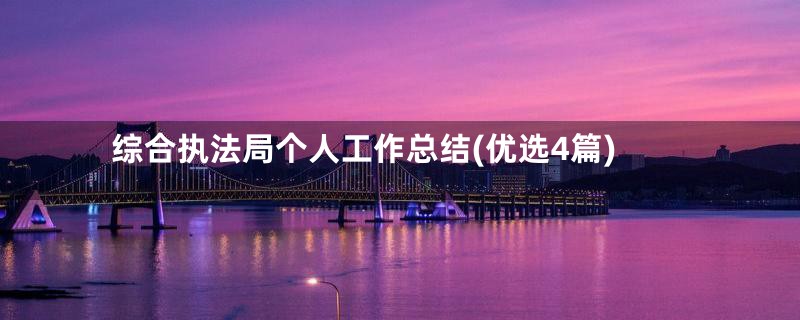 综合执法局个人工作总结(优选4篇)