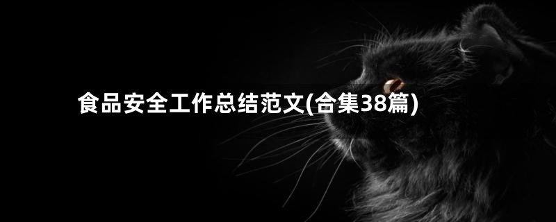 食品安全工作总结范文(合集38篇)