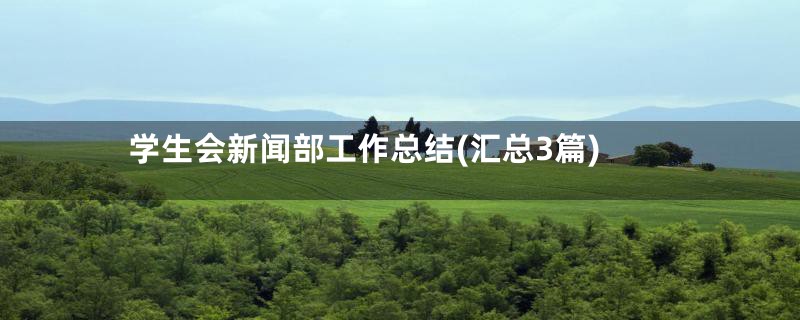 学生会新闻部工作总结(汇总3篇)