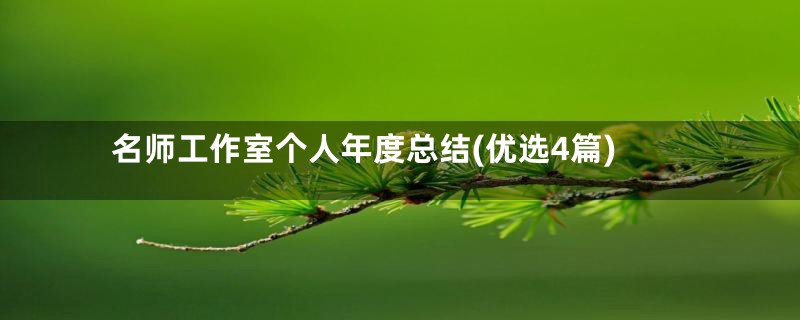 名师工作室个人年度总结(优选4篇)
